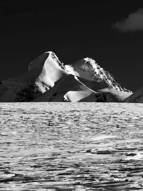 Breithornplateau - Castor, Pollux