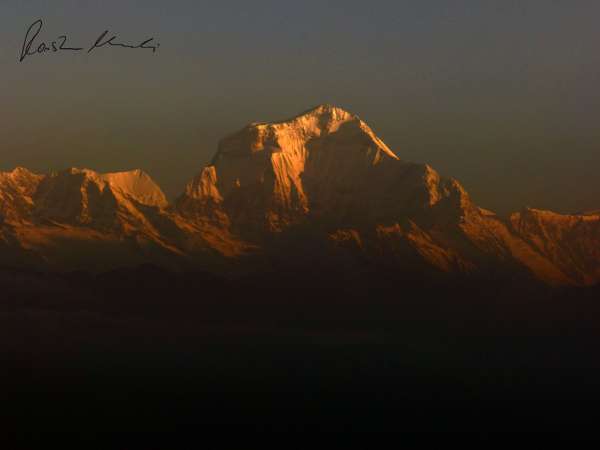 Dhaulagiri (XXIII), von Poon Hill