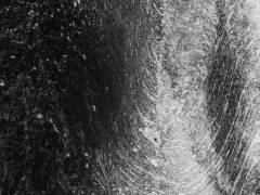 Wasser-Werk 6