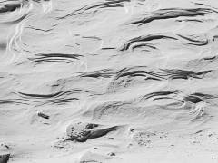 Schneebild XV Schneebild XV